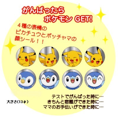 ポケモンスゴわざカンバッジ(7/14発売) - アサミの日記